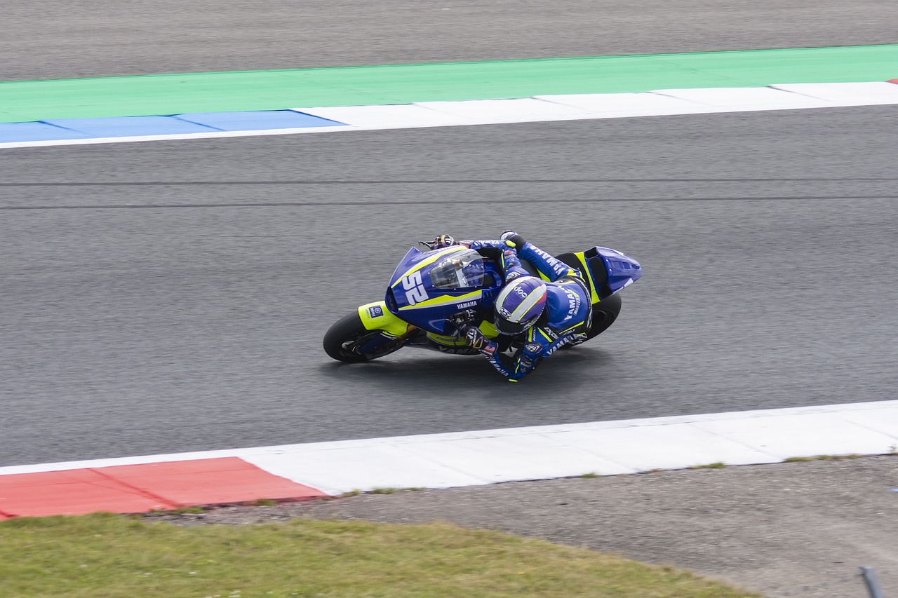 仅体现了各 仅体现了各