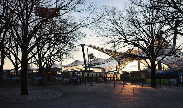 鹿队在与凤 鹿队在与凤