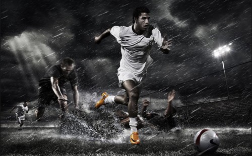 我们不仅看 我们不仅看