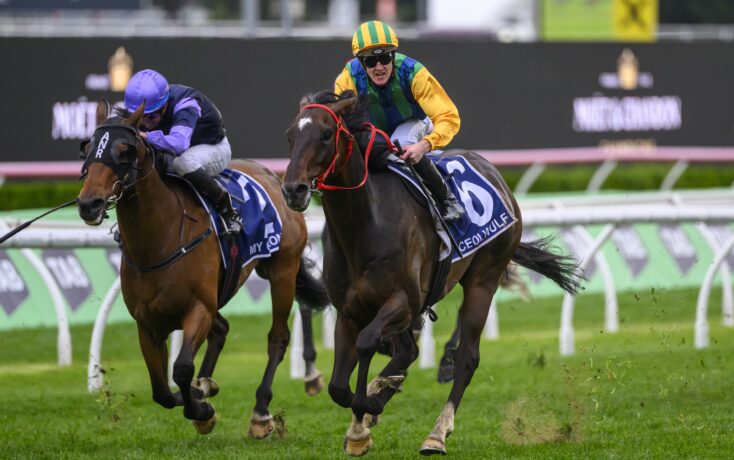 这也印证了 这也印证了